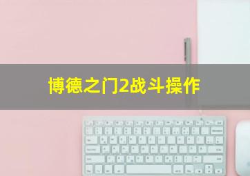 博德之门2战斗操作