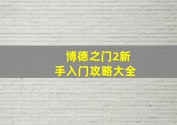 博德之门2新手入门攻略大全