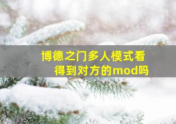 博德之门多人模式看得到对方的mod吗