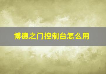 博德之门控制台怎么用