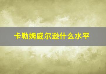 卡勒姆威尔逊什么水平