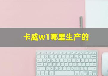 卡威w1哪里生产的