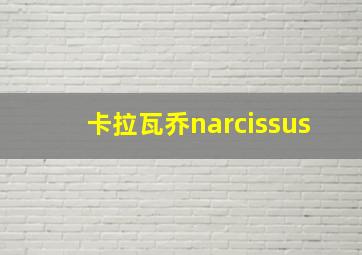 卡拉瓦乔narcissus