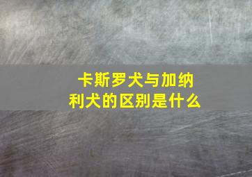 卡斯罗犬与加纳利犬的区别是什么