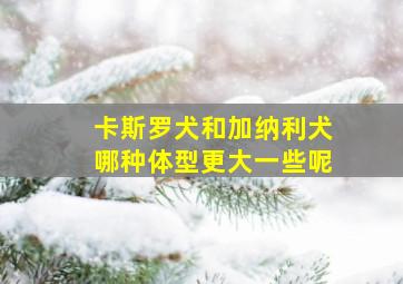 卡斯罗犬和加纳利犬哪种体型更大一些呢