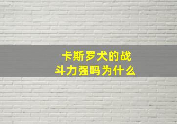 卡斯罗犬的战斗力强吗为什么