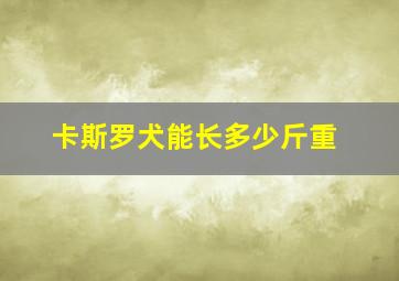 卡斯罗犬能长多少斤重