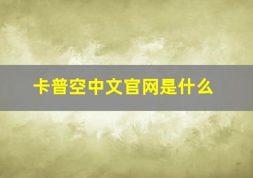 卡普空中文官网是什么