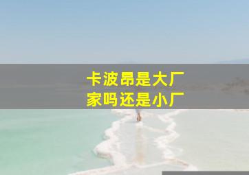 卡波昂是大厂家吗还是小厂