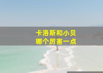 卡洛斯和小贝哪个厉害一点