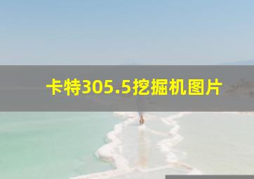 卡特305.5挖掘机图片