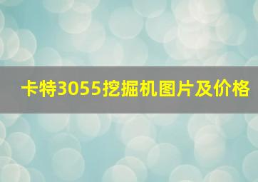 卡特3055挖掘机图片及价格