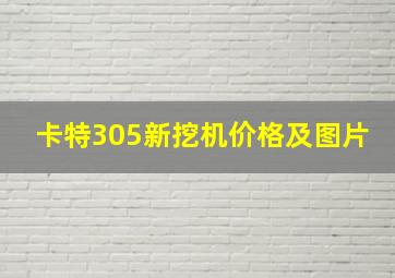 卡特305新挖机价格及图片