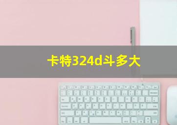 卡特324d斗多大