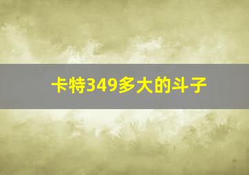 卡特349多大的斗子