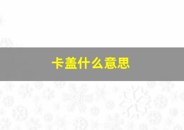 卡盖什么意思