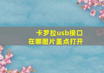 卡罗拉usb接口在哪图片盖点打开