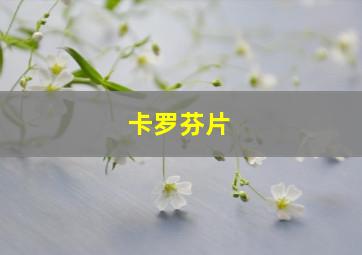 卡罗芬片