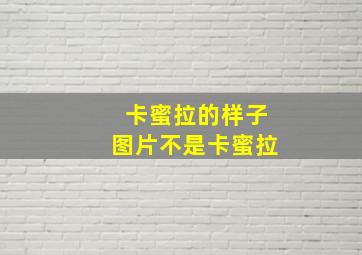 卡蜜拉的样子图片不是卡蜜拉