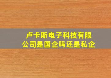 卢卡斯电子科技有限公司是国企吗还是私企