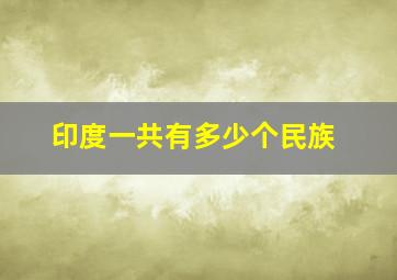 印度一共有多少个民族