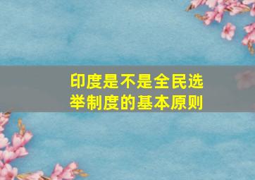 印度是不是全民选举制度的基本原则