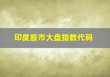 印度股市大盘指数代码