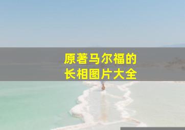 原著马尔福的长相图片大全