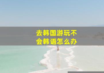 去韩国游玩不会韩语怎么办