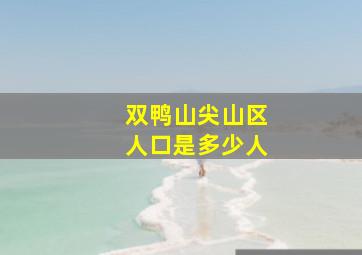 双鸭山尖山区人口是多少人