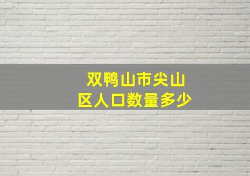 双鸭山市尖山区人口数量多少