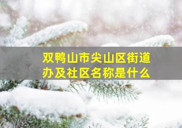 双鸭山市尖山区街道办及社区名称是什么