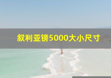 叙利亚镑5000大小尺寸