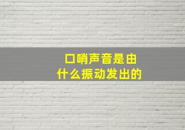 口哨声音是由什么振动发出的