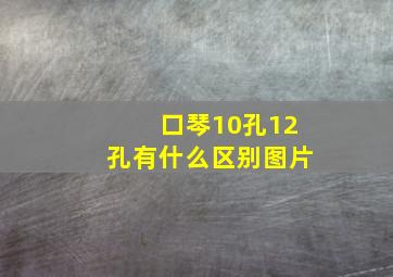 口琴10孔12孔有什么区别图片