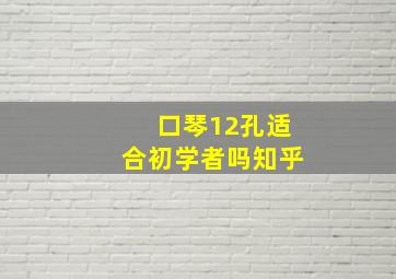 口琴12孔适合初学者吗知乎