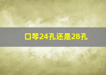 口琴24孔还是28孔