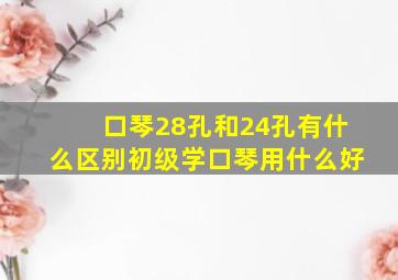 口琴28孔和24孔有什么区别初级学口琴用什么好