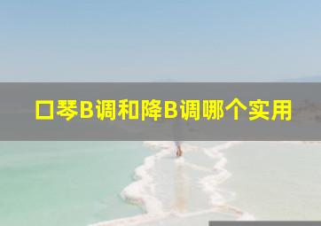 口琴B调和降B调哪个实用