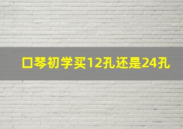 口琴初学买12孔还是24孔