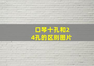 口琴十孔和24孔的区别图片