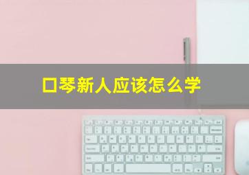 口琴新人应该怎么学