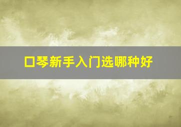 口琴新手入门选哪种好