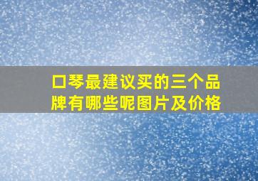 口琴最建议买的三个品牌有哪些呢图片及价格