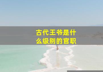 古代王爷是什么级别的官职