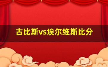 古比斯vs埃尔维斯比分