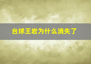 台球王岩为什么消失了