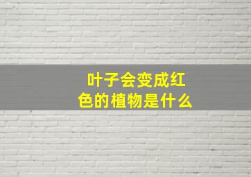 叶子会变成红色的植物是什么