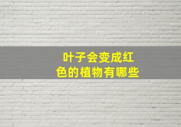 叶子会变成红色的植物有哪些