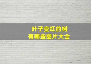 叶子变红的树有哪些图片大全